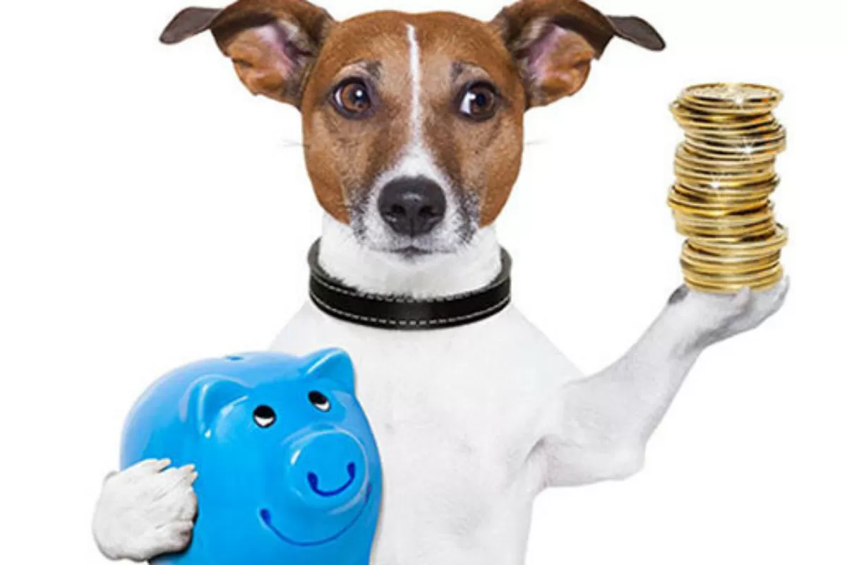 5 Modelos de Negócio Inovadores Para Empreender no Mercado Pet – Descubra Agora Como Criar Seu Próprio Negócio!